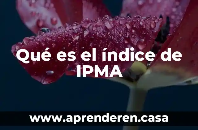 Que es un indice de un informe 6 Qué es el índice de IPMA