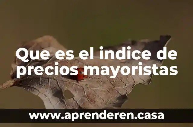 Que es un indice de un informe 7 Que es el indice de precios mayoristas