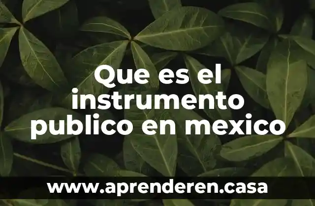 Que es el instrumento publico en mexico