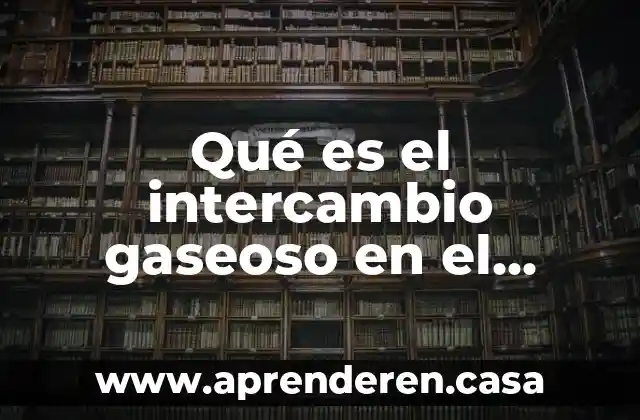 Qué es el intercambio gaseoso en el agua