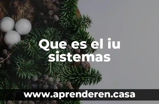 Que es iu sistema para que sirve 3 Que es el iu sistemas