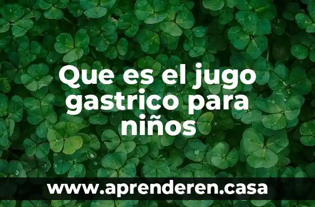 Que es la teoria del big bag para los niños 8 Que es el jugo gastrico para niños