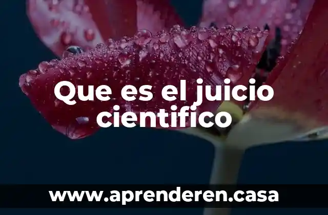 Que es el juicio cientifico