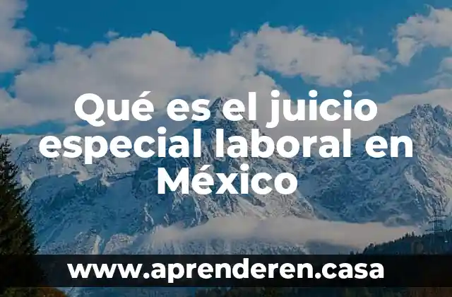 Qué es el juicio especial laboral en México