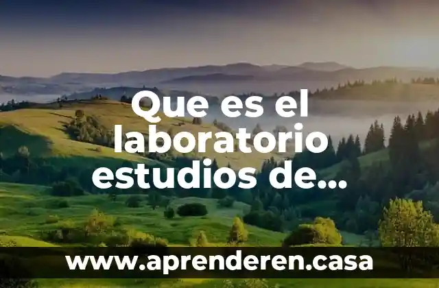 Que es el laboratorio estudios de mageniologia