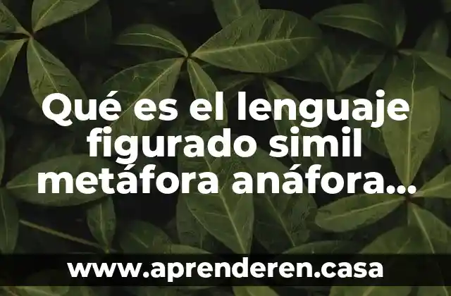 Qué es el lenguaje figurado simil metáfora anáfora y reiteración