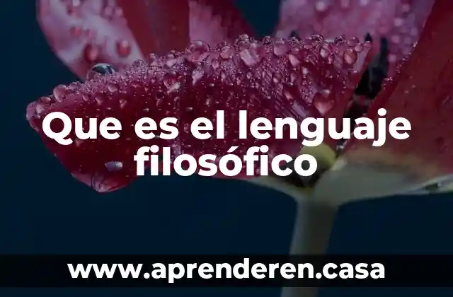 Que es el lenguaje filosófico