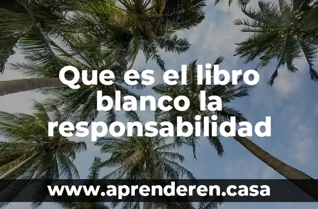 Zoning que es 5 Que es el libro blanco la responsabilidad