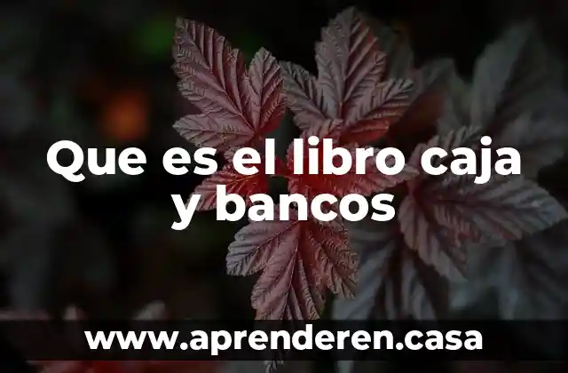 Que es el libro caja y bancos
