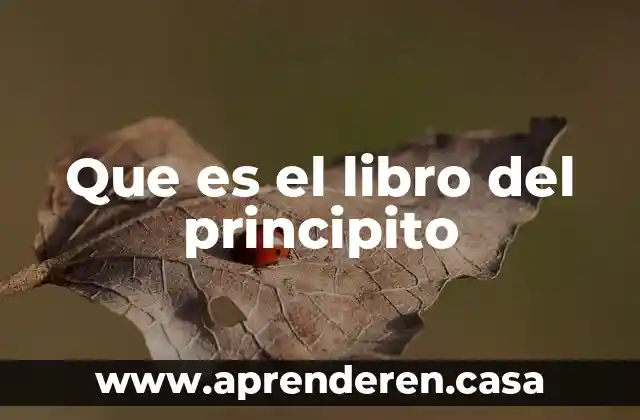 Que es una advertencia en un libro 6 Que es el libro del principito