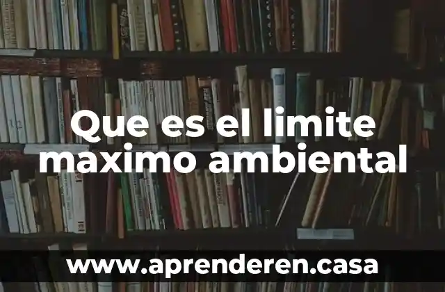 Qué es un límite matemático 5 Que es el limite maximo ambiental