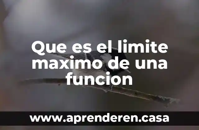 Qué es un límite matemático 3 Que es el limite maximo de una funcion
