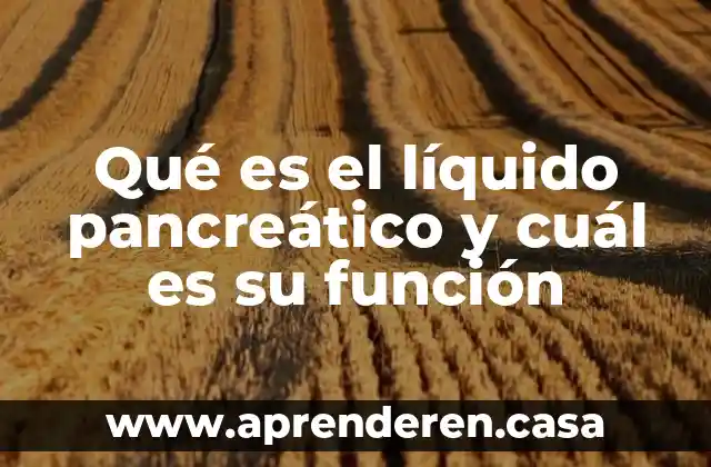 Qué es el líquido pancreático y cuál es su función