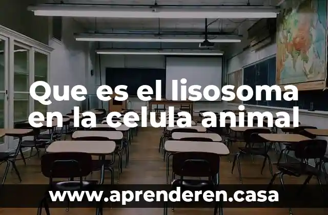 Que es el lisosoma en la celula animal