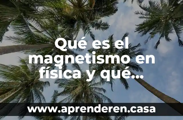 Rehilete de tierra fisica que es 3 Qué es el magnetismo en física y qué estudia