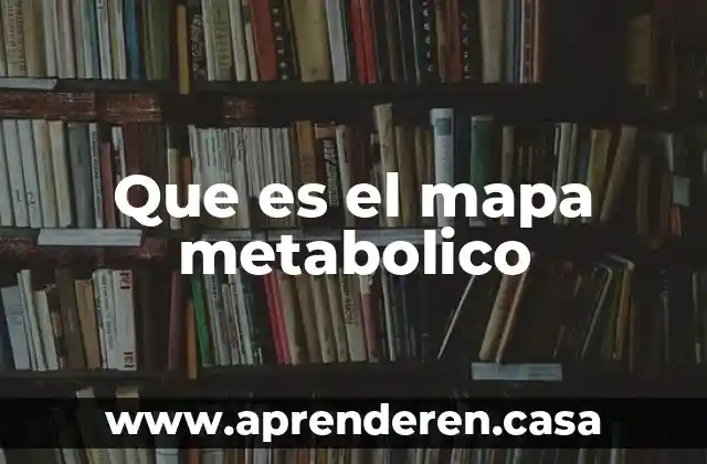 Que es el mapa metabolico