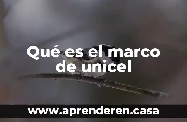 Qué es marco de referencia de los objetos 5 Qué es el marco de unicel