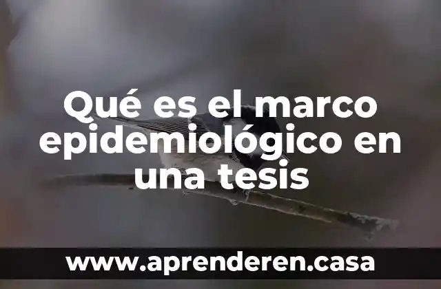 Qué es el marco epidemiológico en una tesis