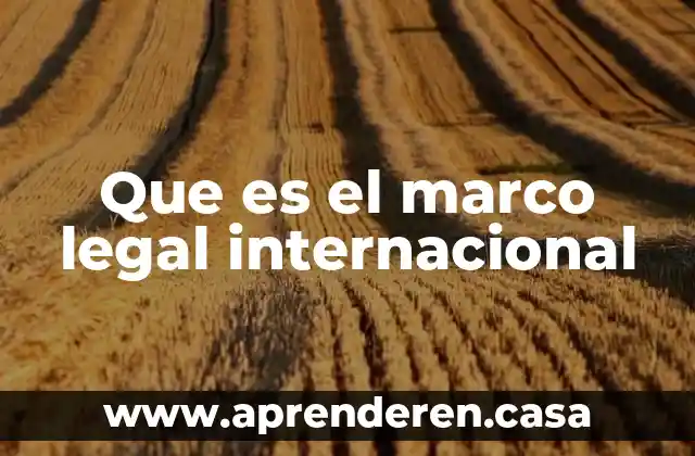 Qué es el marco de unicel 4 Que es el marco legal internacional