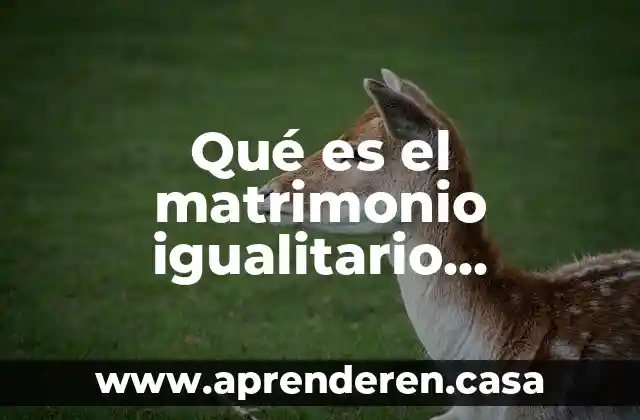 Qué es el matrimonio igualitario definición
