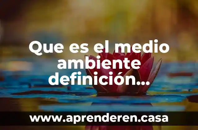 Que es el medio ambiente definición semarnat