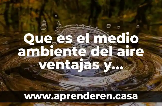 Que es el medio ambiente del aire ventajas y desventajas