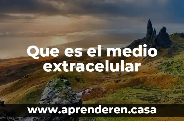 Que es el medio extracelular