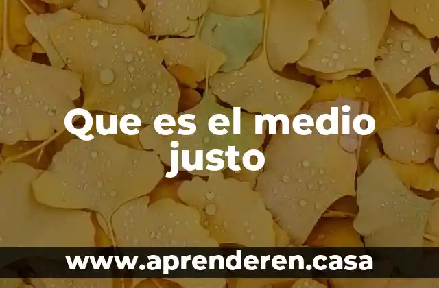 Que es el medio justo