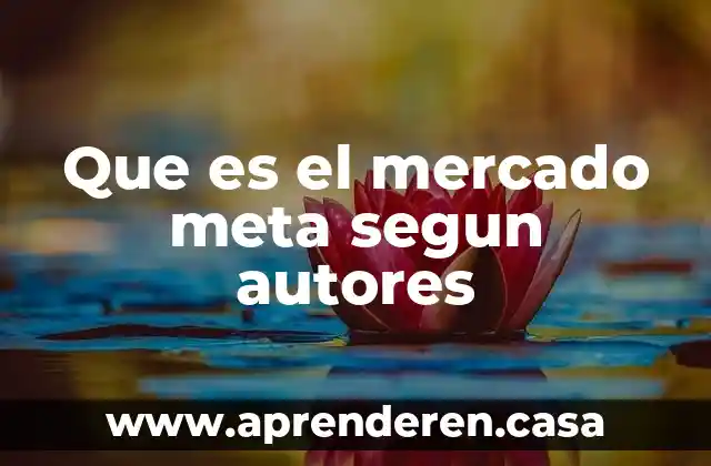 Que es el mercado meta segun autores