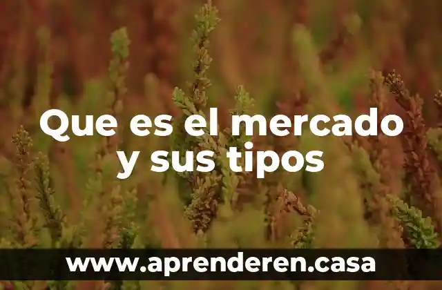 Que es el mercado y sus tipos