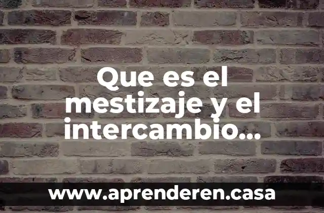 Que es el mestizaje y el intercambio cultural