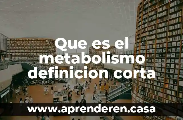 Que es el metabolismo definicion corta
