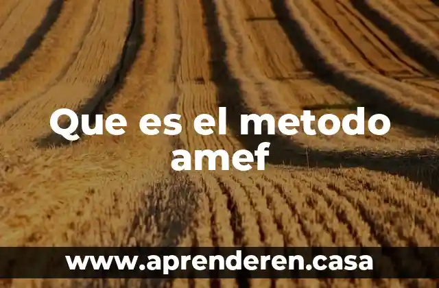 Que es el metodo amef