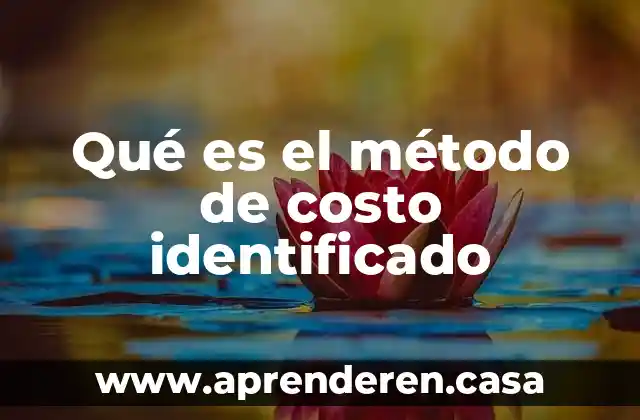 Qué es el método de costo identificado