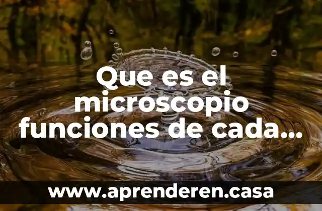 Que es la parte literal de un termino 3 Que es el microscopio funciones de cada parte