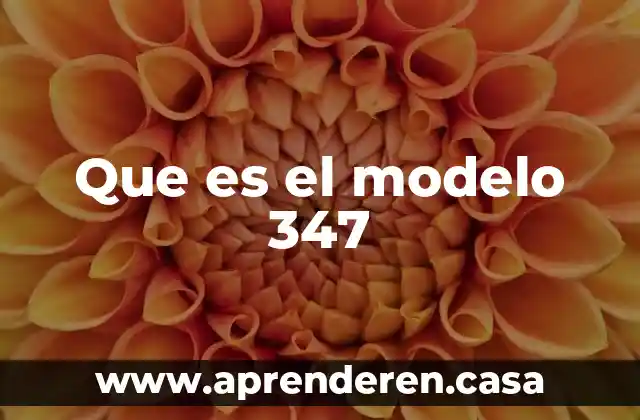 Que es el modelo 347