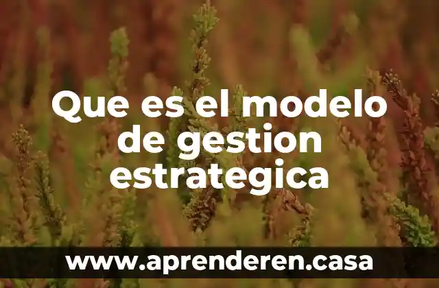 Que es el modelo de gestion estrategica