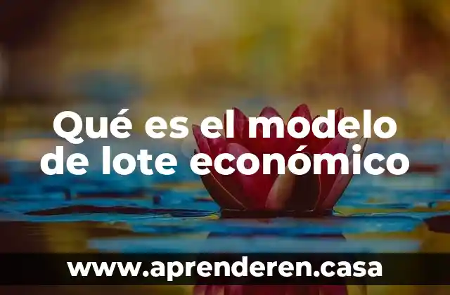 Qué es el modelo de lote económico