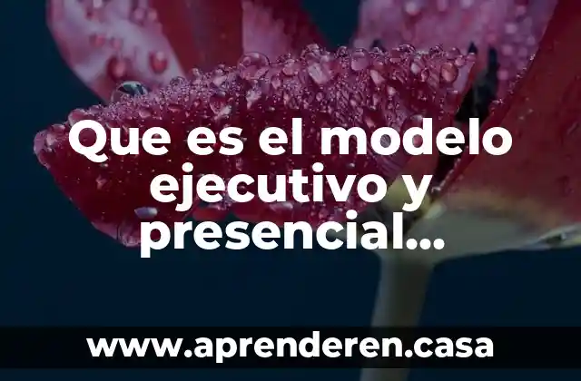 Que es el modelo ejecutivo y presencial escuelas
