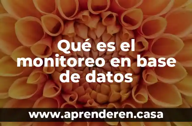 Qué es el monitoreo en base de datos
