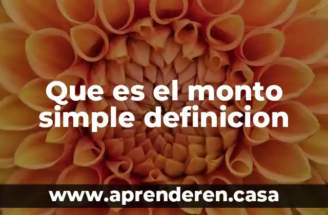 Que es el monto simple definicion