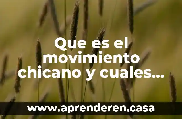 Que es tramites de implantación y cuales son 5 Que es el movimiento chicano y cuales son sus manifestaciones