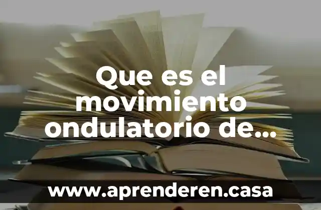 Que es el movimiento ondulatorio de ondas y explicacion