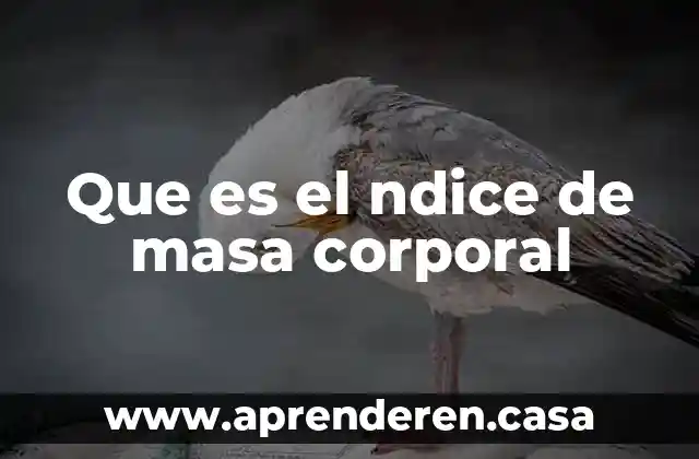 Que es el ndice de masa corporal