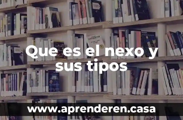 Que es el nexo y sus tipos