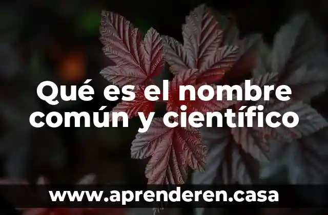 Qué es el nombre común y científico
