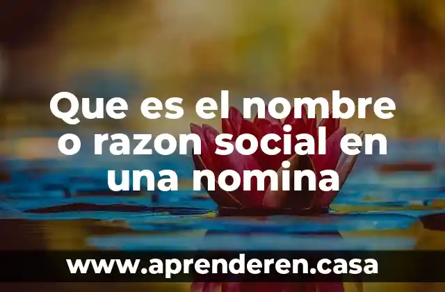 Que es el nombre o razon social en una nomina