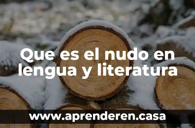 Que es el nudo en lengua y literatura