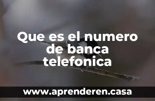 Que es el numero de banca telefonica