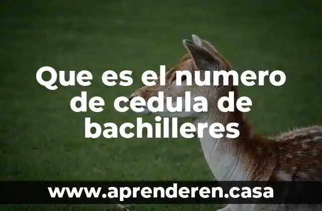 Que es numero exterior e interior de un domicilio ejemplo 4 Que es el numero de cedula de bachilleres